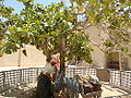Миниатюра для версии от 14:21, 23 августа 2011