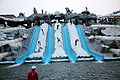 Миниатюра для версии от 10:31, 20 декабря 2010